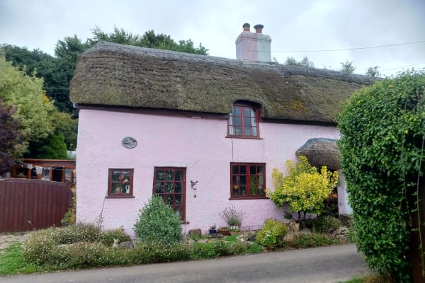House sit in Honiton, United Kingdom