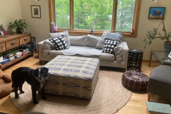 House sit in Jackson, WY, US