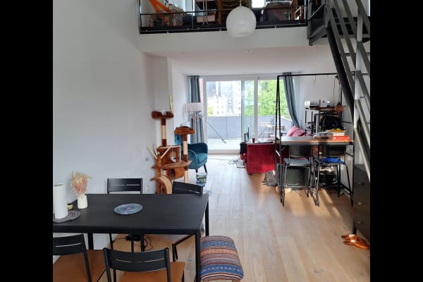 House sit in Brussels, Belgium