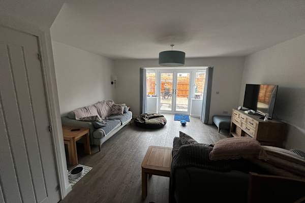 House sit in Bristol, United Kingdom