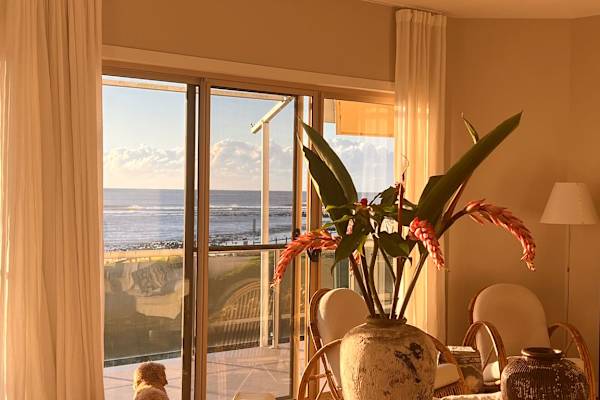 House sit in Lennox Head, NSW, Australia