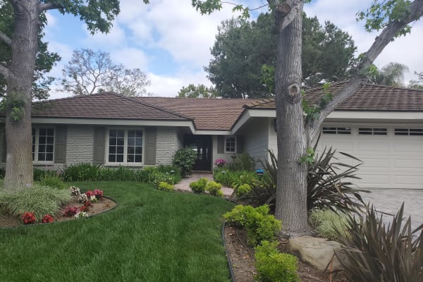 House sit in Laguna Hills, CA, US