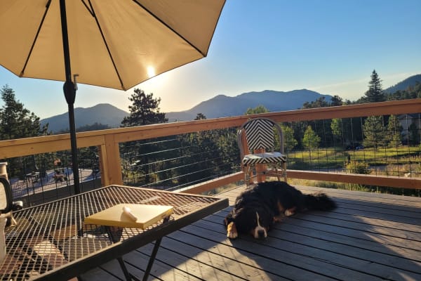 House sit in Golden, CO, US