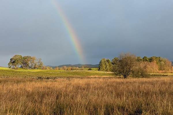 House sit in New Galloway, United Kingdom
