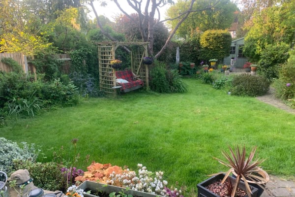 House sit in Twickenham, United Kingdom