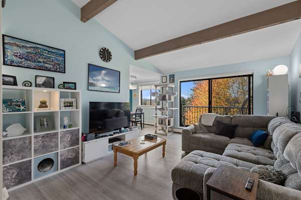 House sit in Vancouver, BC, Canada