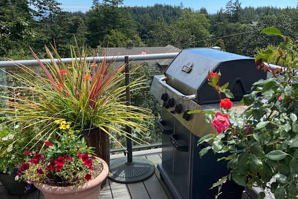 House sit in Metchosin, BC, Canada