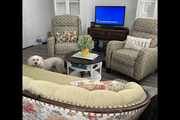 House sit in McKinney, TX, US