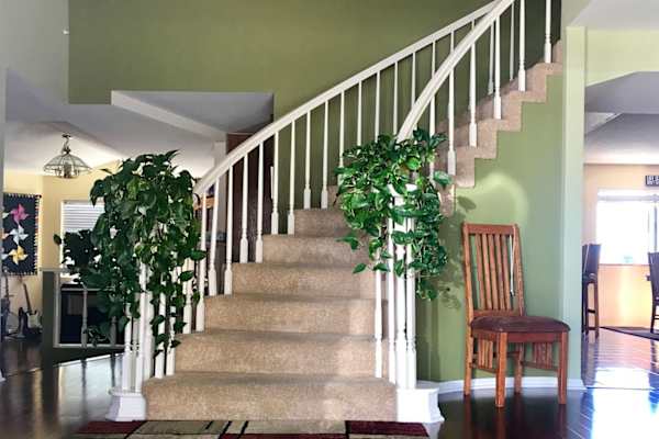 House sit in Lake San Marcos, CA, US