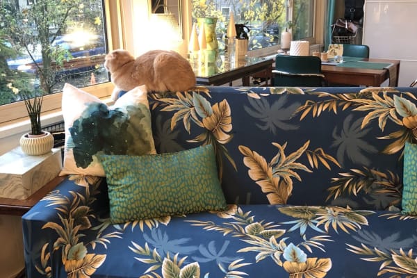 House sit in Vancouver, BC, Canada