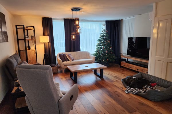 House sit in Oss, Netherlands