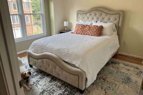 House sit in Springfield, VA, US