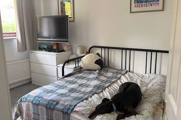 House sit in Manchester, United Kingdom