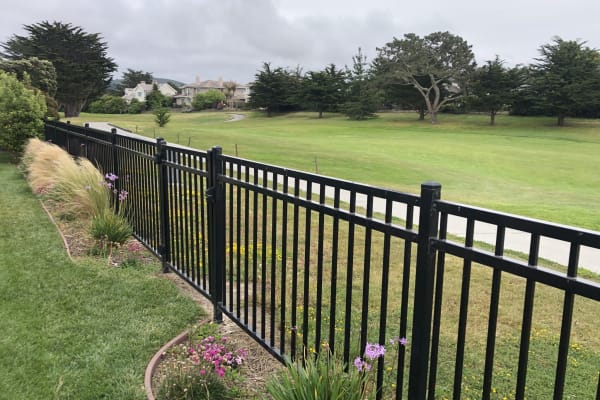 House sit in Half Moon Bay, CA, US