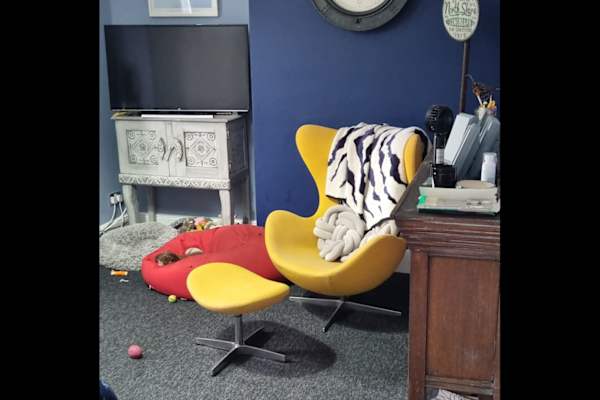 House sit in Exmouth, United Kingdom