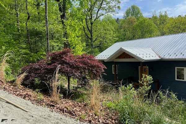 House sit in Hendersonville, NC, US