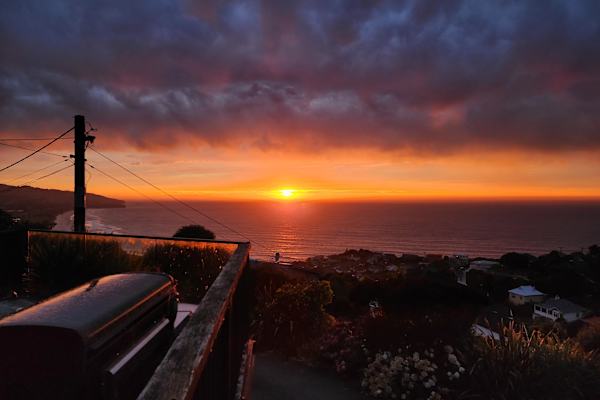 House sit in Dunedin, New Zealand
