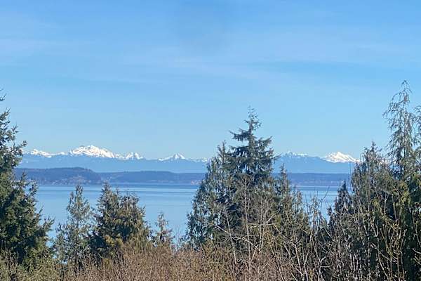 House sit in Port Townsend, WA, US