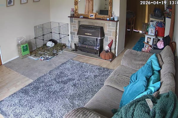 House sit in Macclesfield, United Kingdom