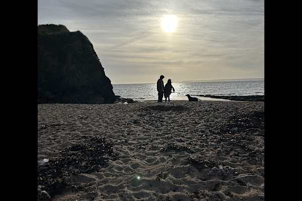 House sit in Kingsbridge, United Kingdom