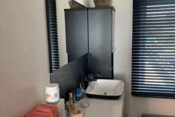 House sit in Oudenaarde, Belgium
