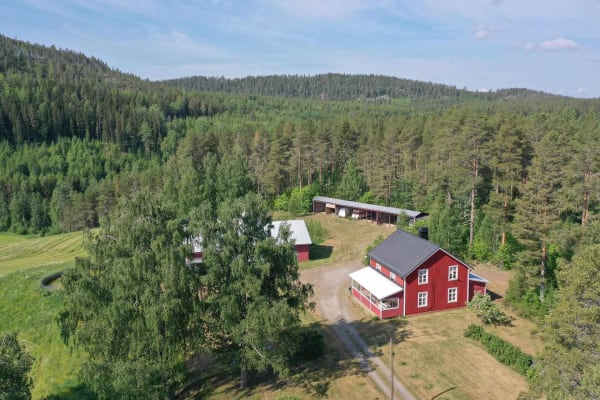 House sit in Bjurholm, Sweden