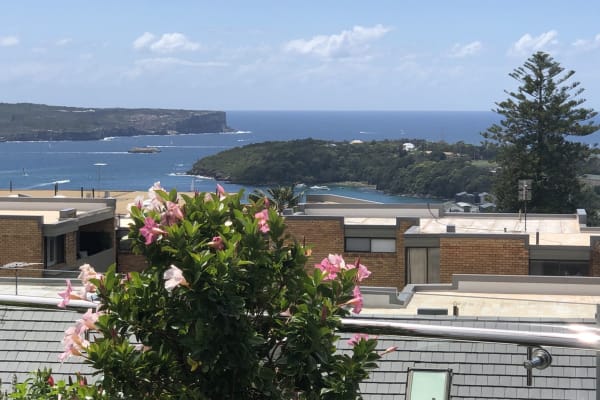 House sit in Sydney, NSW, Australia