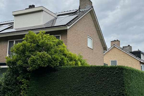 House sit in Voorschoten, Netherlands