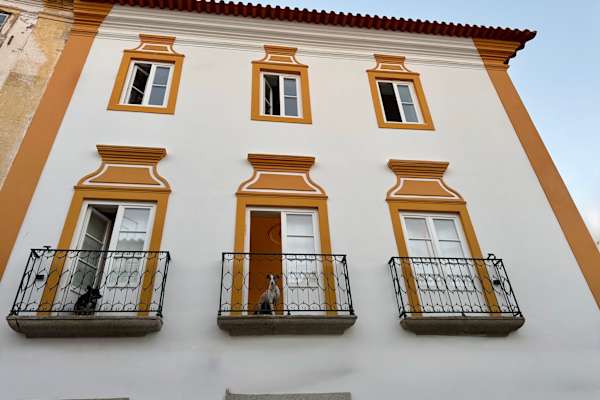 House sit in Évora, Portugal