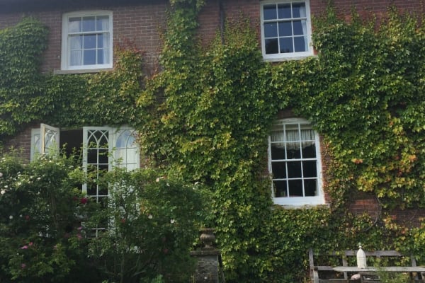 House sit in Sturminster Newton, United Kingdom