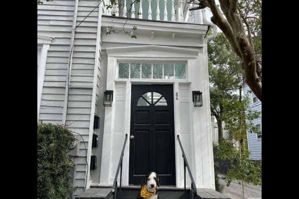 House sit in Charleston, SC, US
