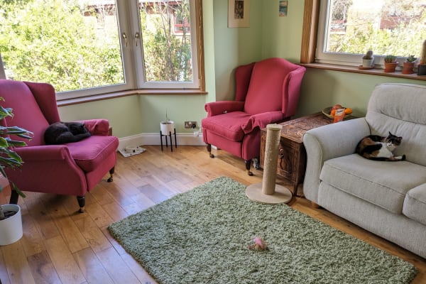House sit in Edinburgh, United Kingdom