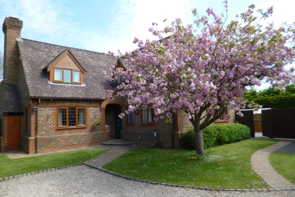 House sit in Thatcham, United Kingdom