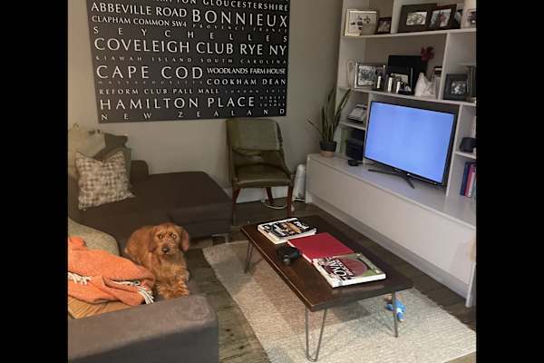 House sit in Henley on Thames, United Kingdom