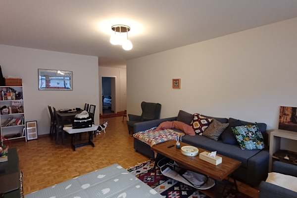 House sit in Bern, Switzerland