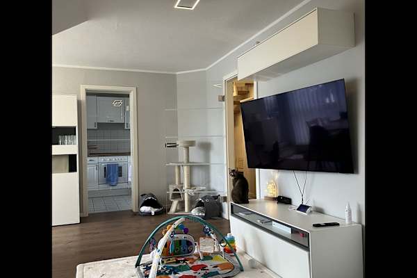 House sit in Köln, Germany