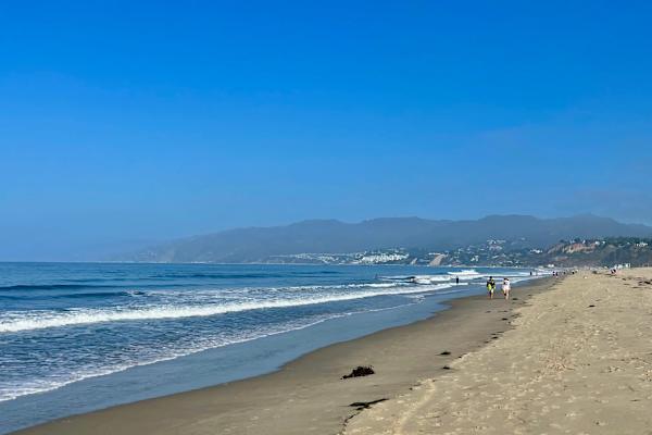 House sit in Los Angeles, CA, US