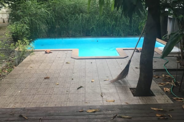 House sit in Bangkok, Thailand