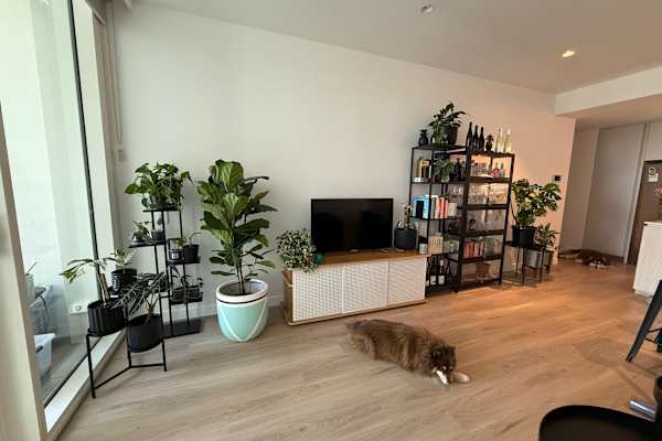 House sit in Brisbane, QLD, Australia