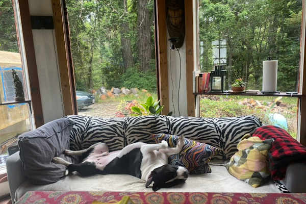 House sit in Pescadero, CA, US