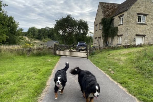 House sit in Malmesbury, United Kingdom