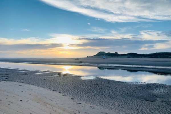 House sit in Alnwick, United Kingdom