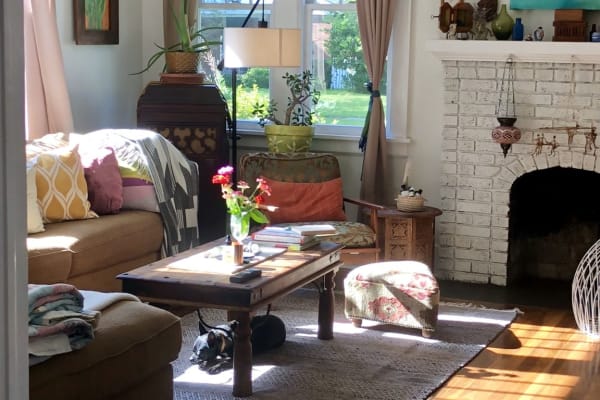 House sit in Savannah, GA, US