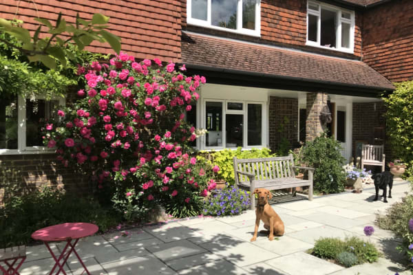 House sit in Oxted, United Kingdom