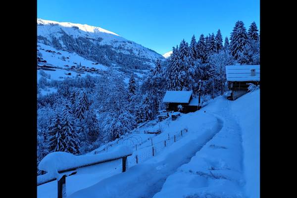 House sit in Beaufort, France