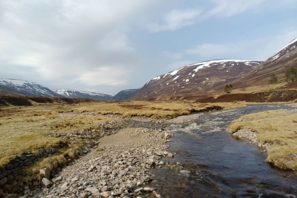 House sit in Pitlochry, United Kingdom