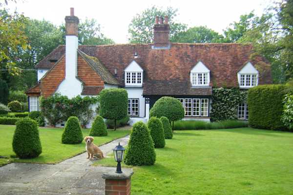 House sit in Newbury, United Kingdom