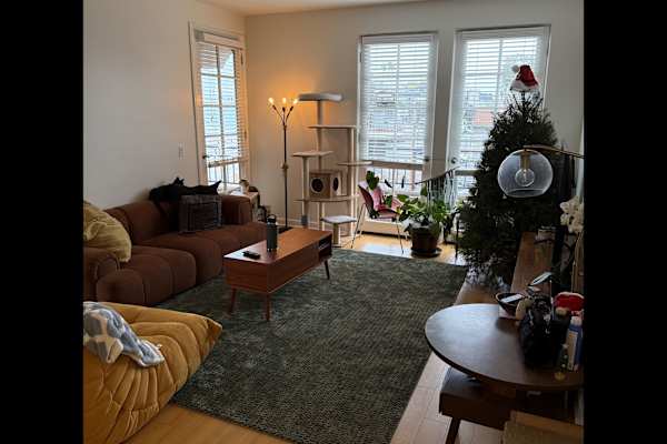 House sit in Sawtelle, CA, US