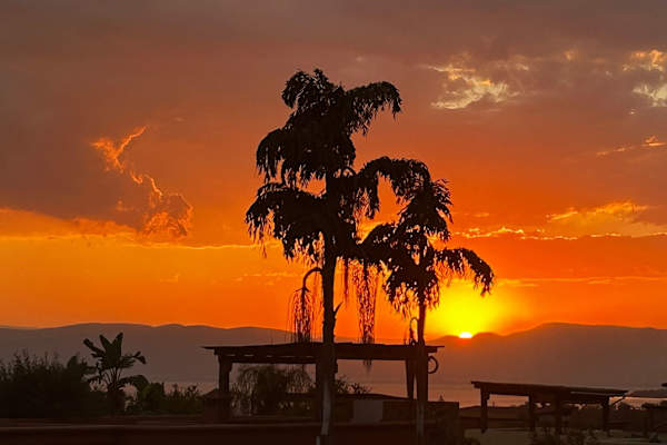 House sit in Ajijic, Mexico