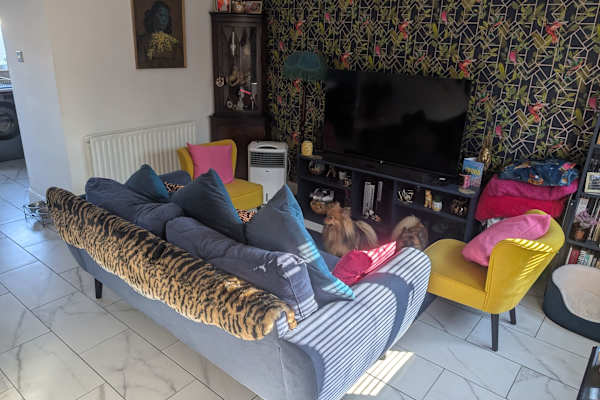 House sit in Sittingbourne, United Kingdom